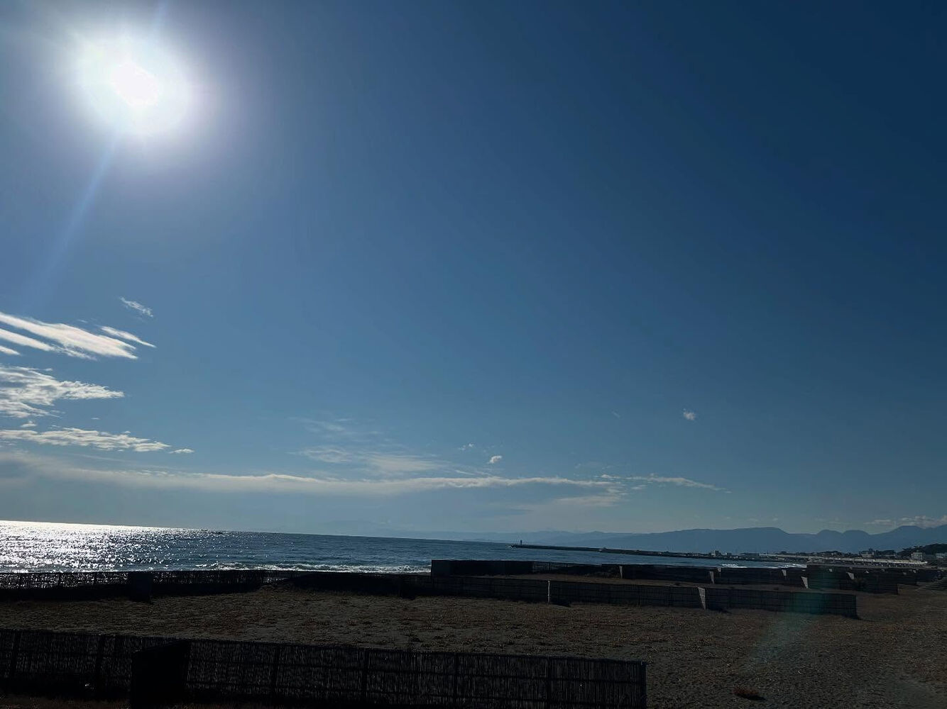 画像3286