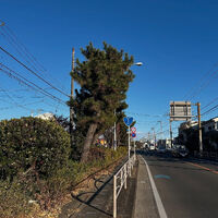 画像3308