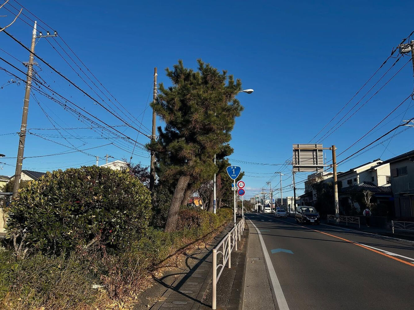 画像3308