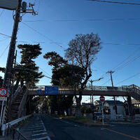 画像3313