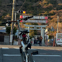 画像3317