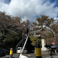 画像3337