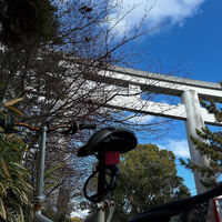 画像3338