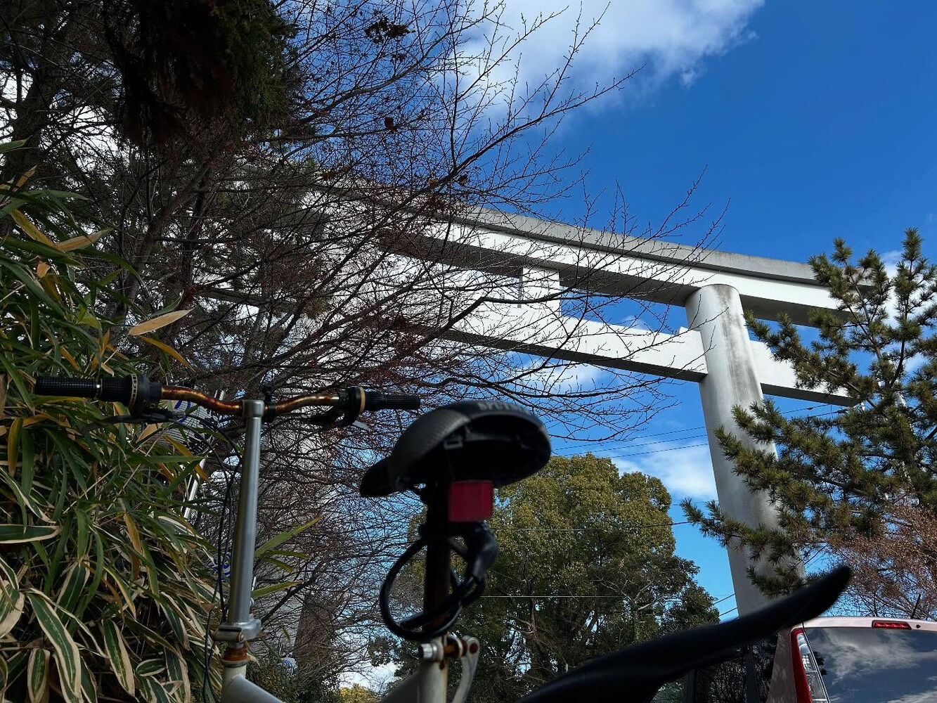 画像3338