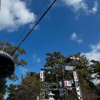 画像3339