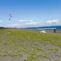 動画サムネイル