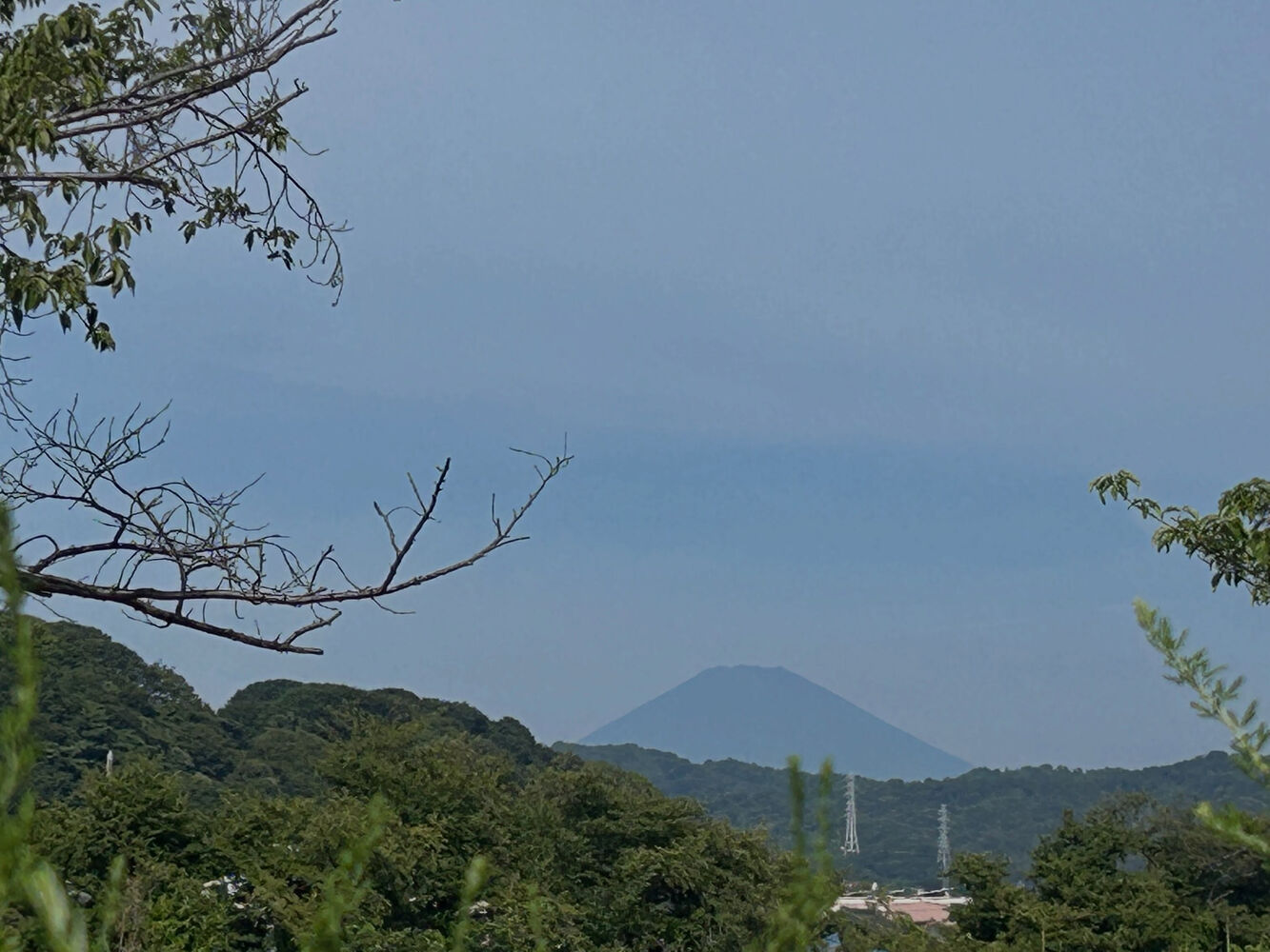 画像6541