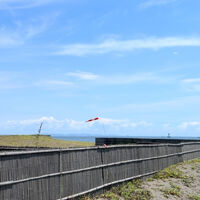 動画サムネイル