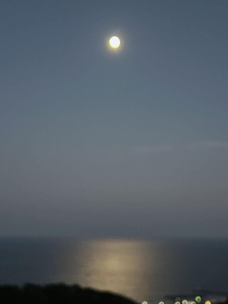画像6689