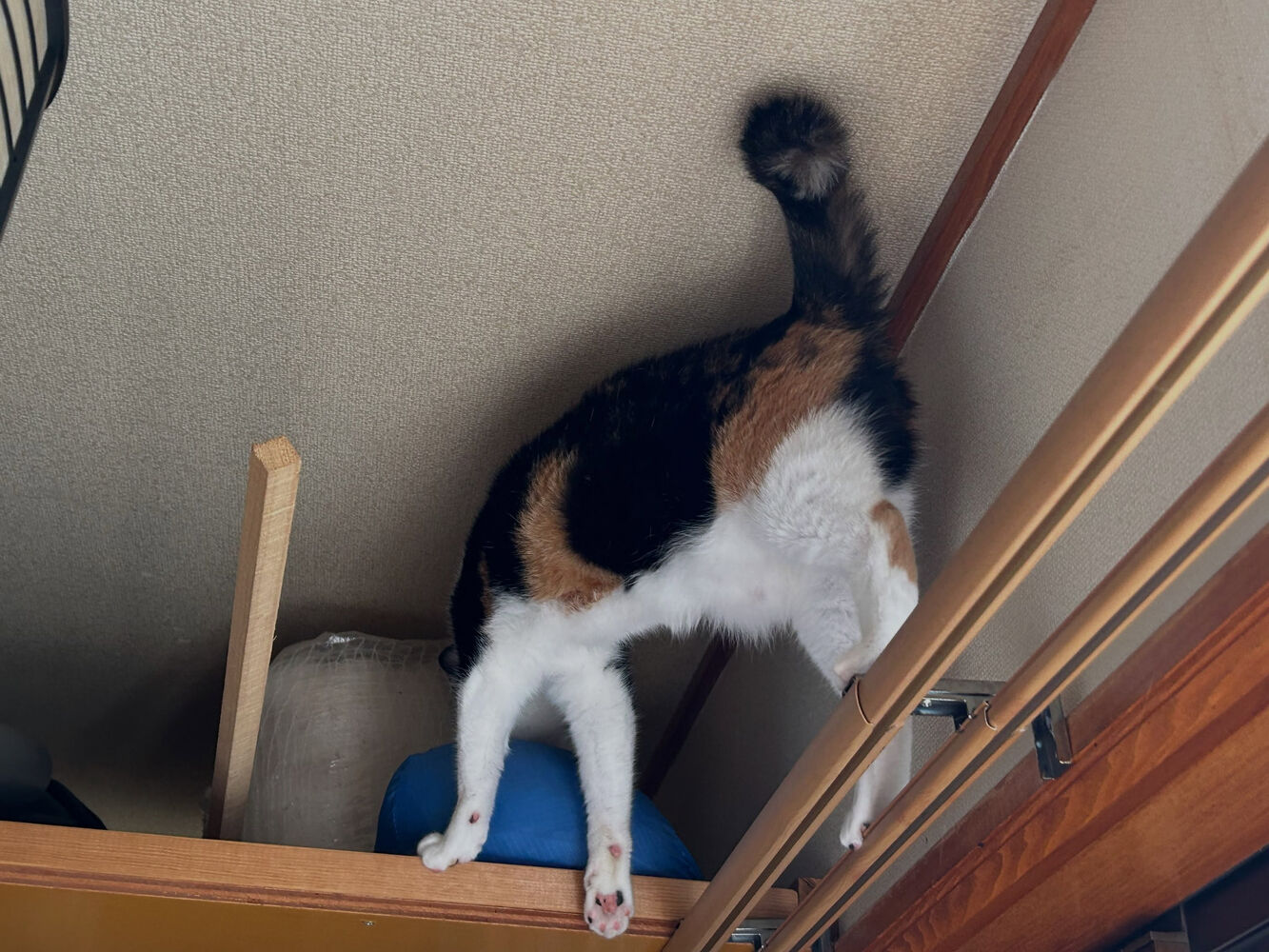 画像6758