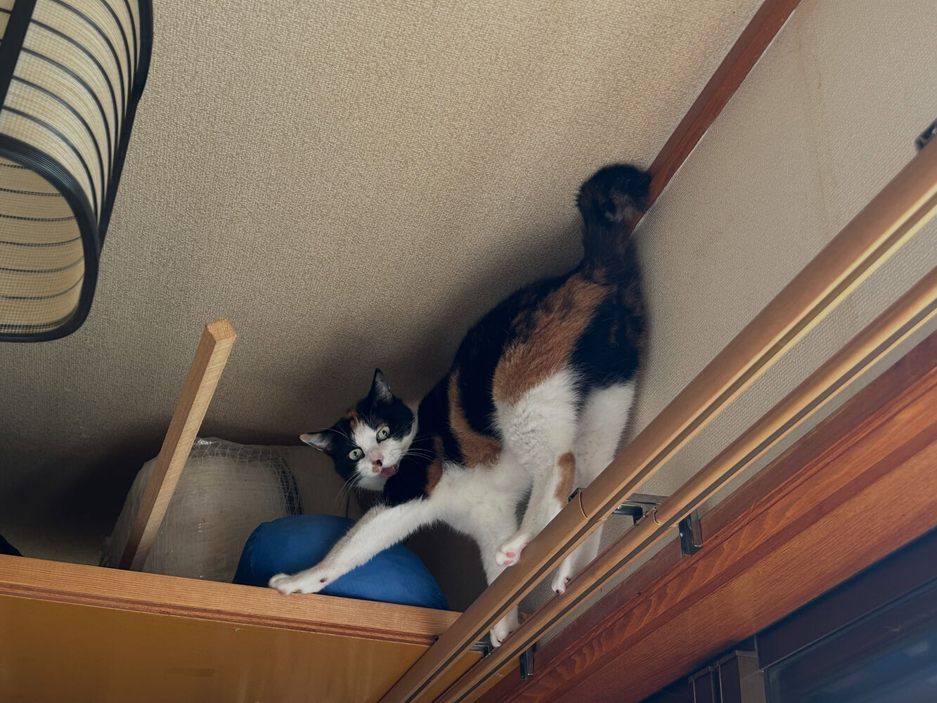 画像6760