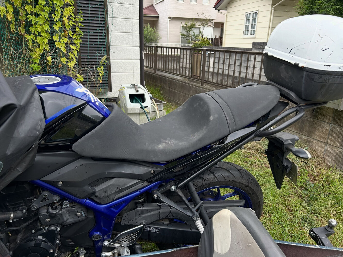 画像6850