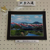 画像6887