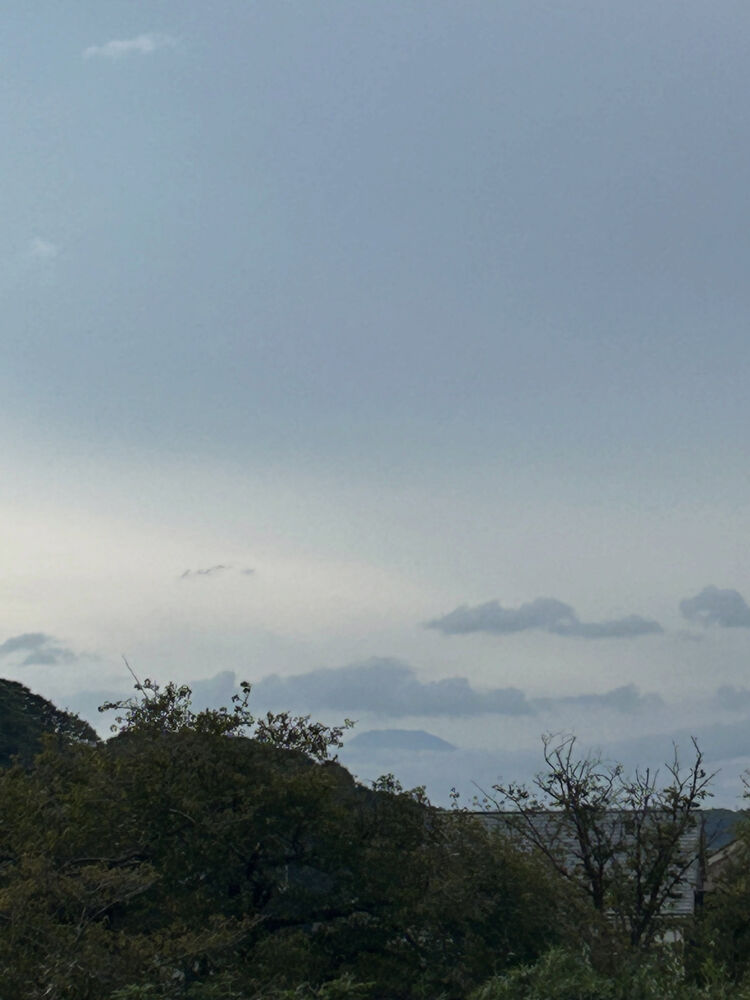 画像6889