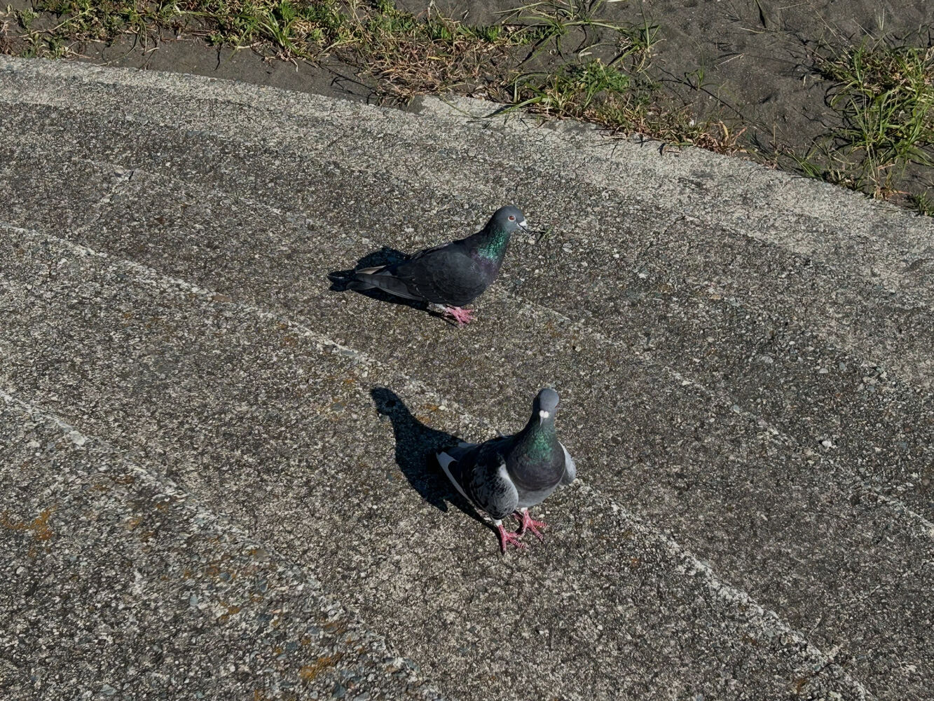 画像6924