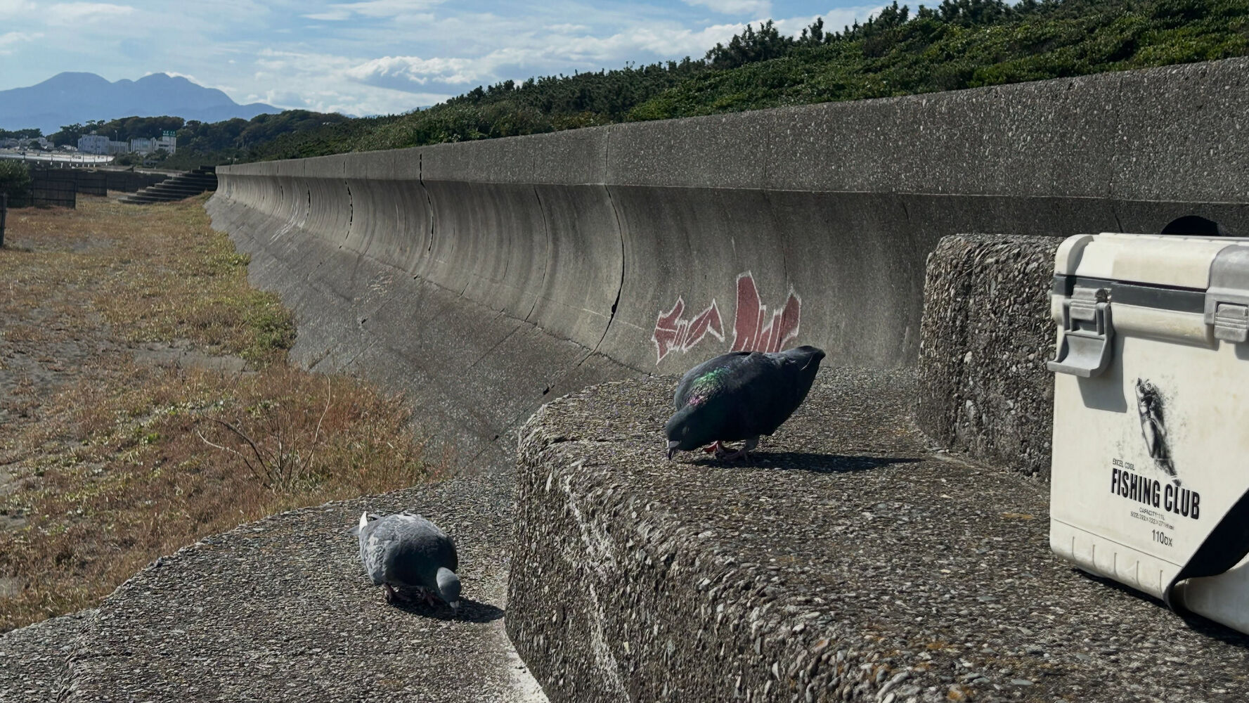 画像6983